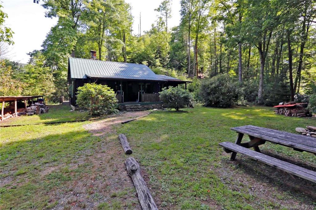406 Sharp Mountain Road Canton, NC 28716 - Photo 6 of 21