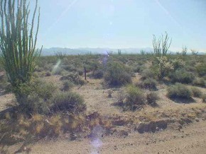 0 West Sunset Road Yucca, AZ 86438 - Photo 3 of 9 Additional Photo
