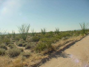 0 West Sunset Road Yucca, AZ 86438 - Photo 4 of 9 Additional Photo