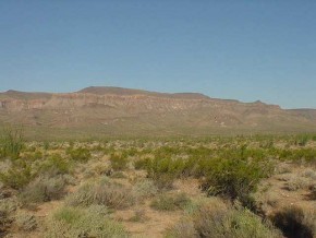 0 West Sunset Road Yucca, AZ 86438 - Photo 5 of 9 Additional Photo