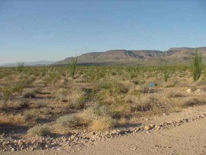 0 West Sunset Road Yucca, AZ 86438 - Photo 7 of 9 Additional Photo