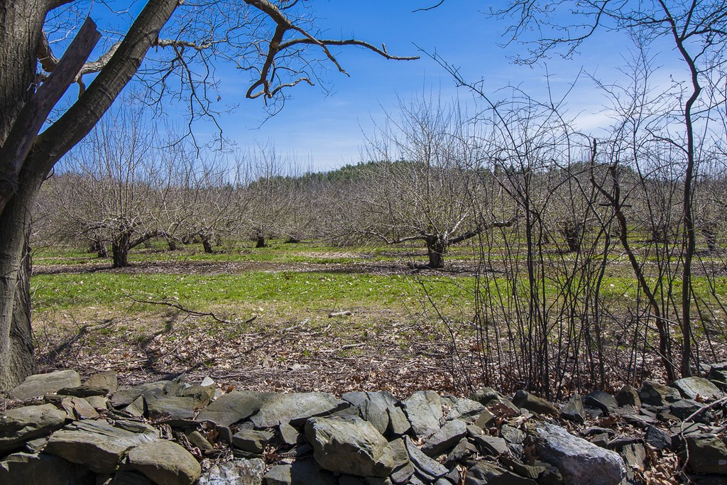 582 George Hill Road Lancaster, MA 01523 - Photo 1 of 2 Gallery Image 1
