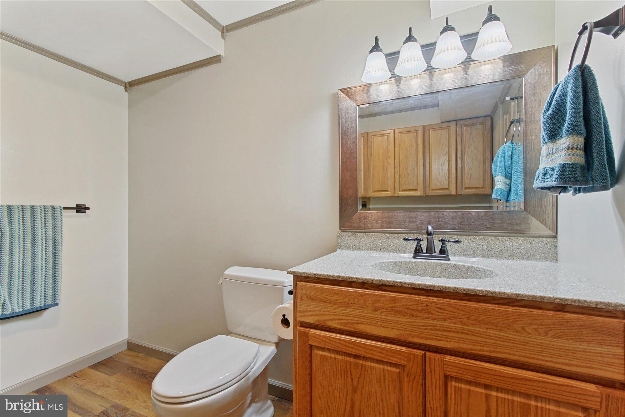 3917 Ridgewood Road York, PA 17406 - Photo 31 of 43 Finished Lower Level Full Bath
