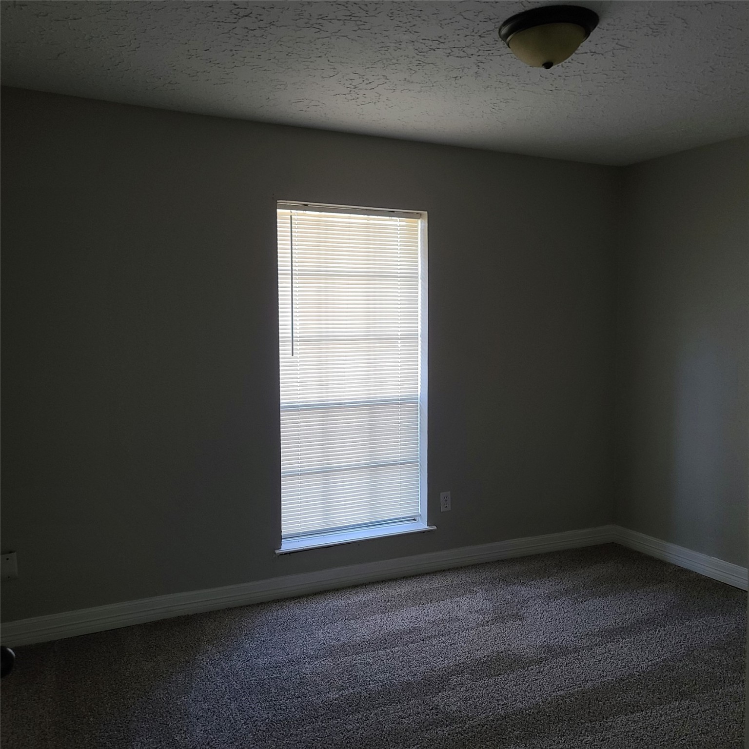 3811 Nutwood Lane Spring, TX 77389 - Photo 10 of 13 Bedroom 2