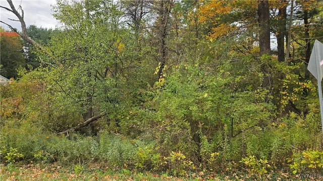 $99,900 | 217 Bowen Road, East Aurora, NY 14052