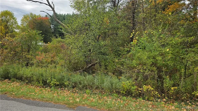 $99,900 | 217 Bowen Road, East Aurora, NY 14052