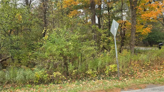 $99,900 | 217 Bowen Road, East Aurora, NY 14052