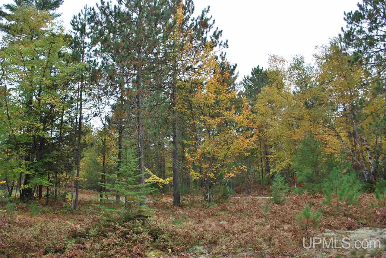 Tbd Little Rice Lake Rd (lot 18), Unit 18 Lake Linden, MI 49945 - Photo 8 of 34