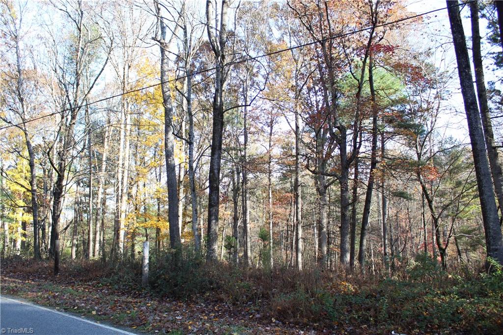 Tbd Old Quarry Road State Road, NC 28676 - Photo 1 of 1