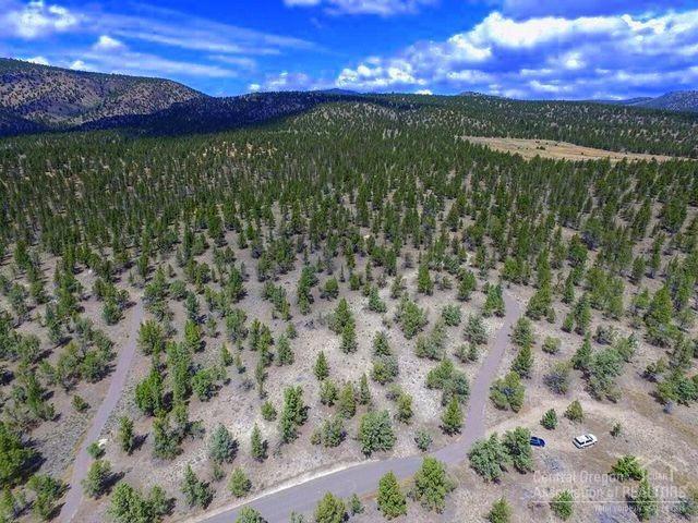 10454 Grizzly Road Prineville, OR 97754 - Photo 9 of 23 Gallery Image 9