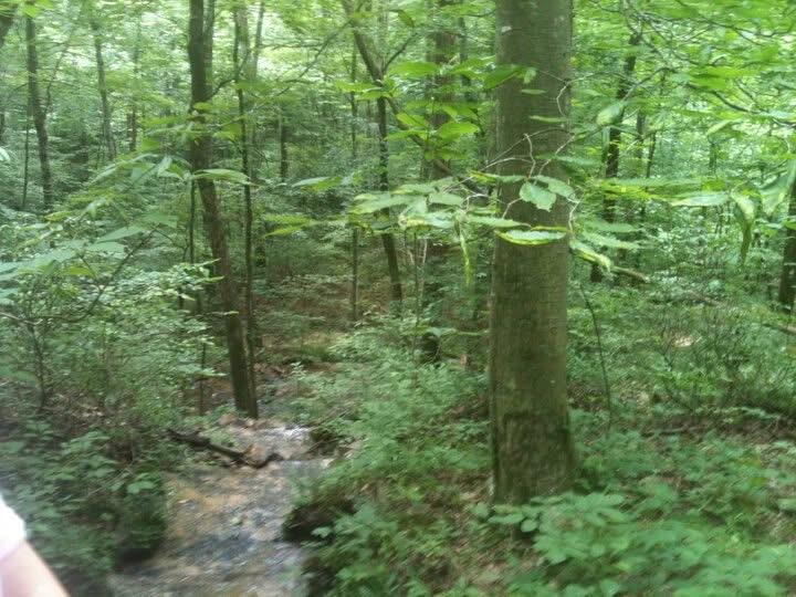 9999 Hales Fork Road Flat Lick, KY 40935 - Photo 22 of 47 IMG_0595