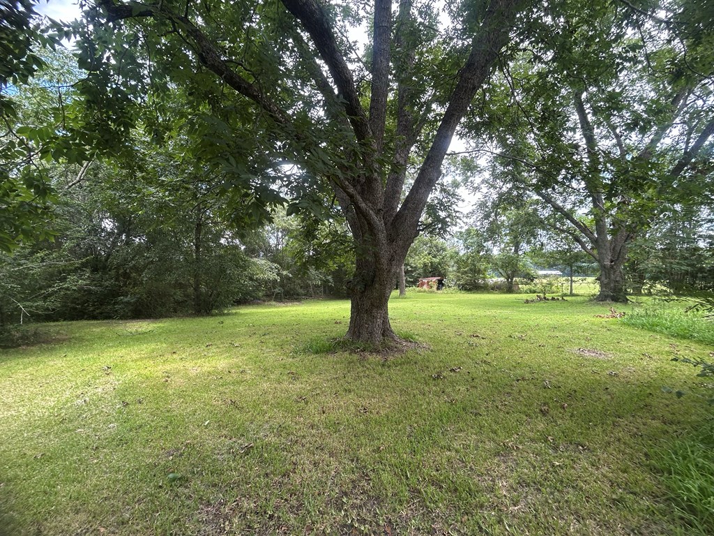1425 Forrester Road Dothan, AL 36301 - Photo 10 of 26 Gallery Image 10