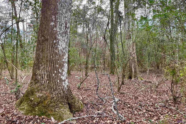 $149,900 | 20 Lillian Lane, Ethel, LA 70730