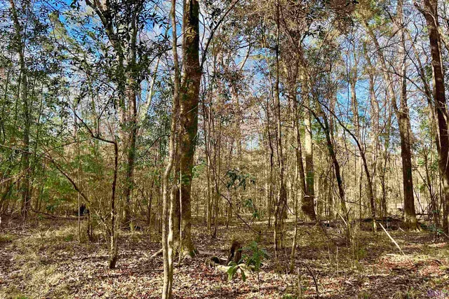 $149,900 | 20 Lillian Lane, Ethel, LA 70730