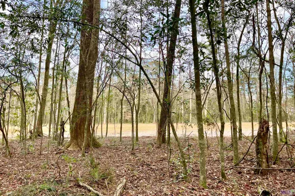 $149,900 | 20 Lillian Lane, Ethel, LA 70730