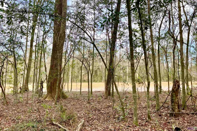 $149,900 | 20 Lillian Lane, Ethel, LA 70730