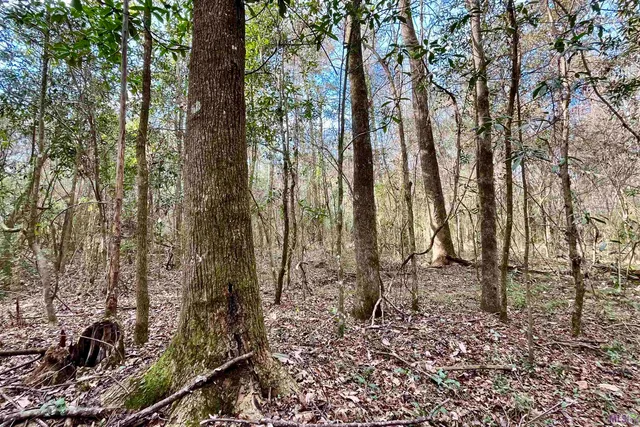 $149,900 | 20 Lillian Lane, Ethel, LA 70730