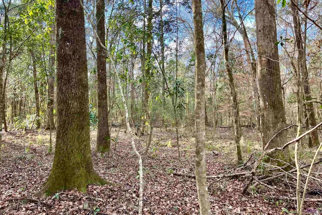 $149,900 | 20 Lillian Lane, Ethel, LA 70730