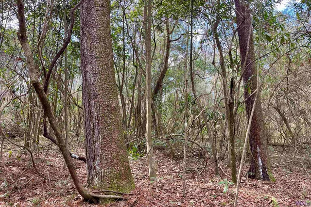 $149,900 | 20 Lillian Lane, Ethel, LA 70730