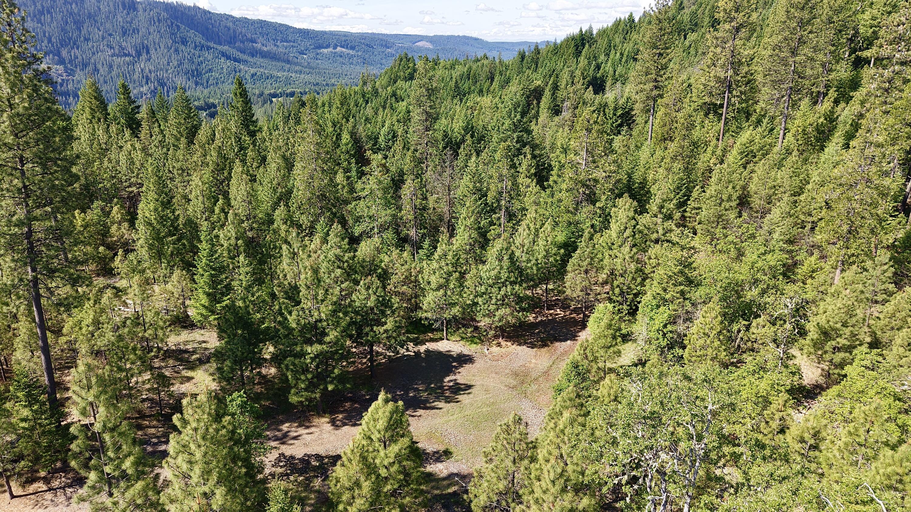 Ulrich Road Prospect, OR 97536 - Photo 6 of 14 Property