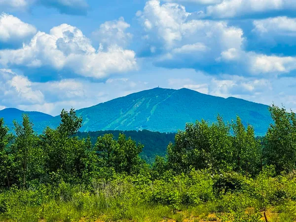$210,000 | 0 Lynburke Road, Unit LOT 1 & LOT 2, Lyndonville, VT 05851