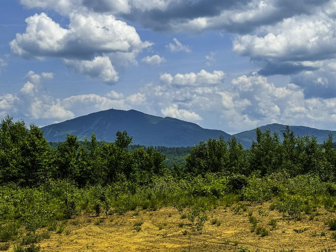 0 Lynburke Road, Unit LOT 1 & LOT 2 Lyndonville, VT 05851 - Photo 32 of 59