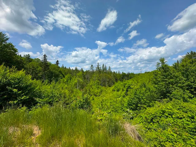 $210,000 | 0 Lynburke Road, Unit LOT 1 & LOT 2, Lyndonville, VT 05851