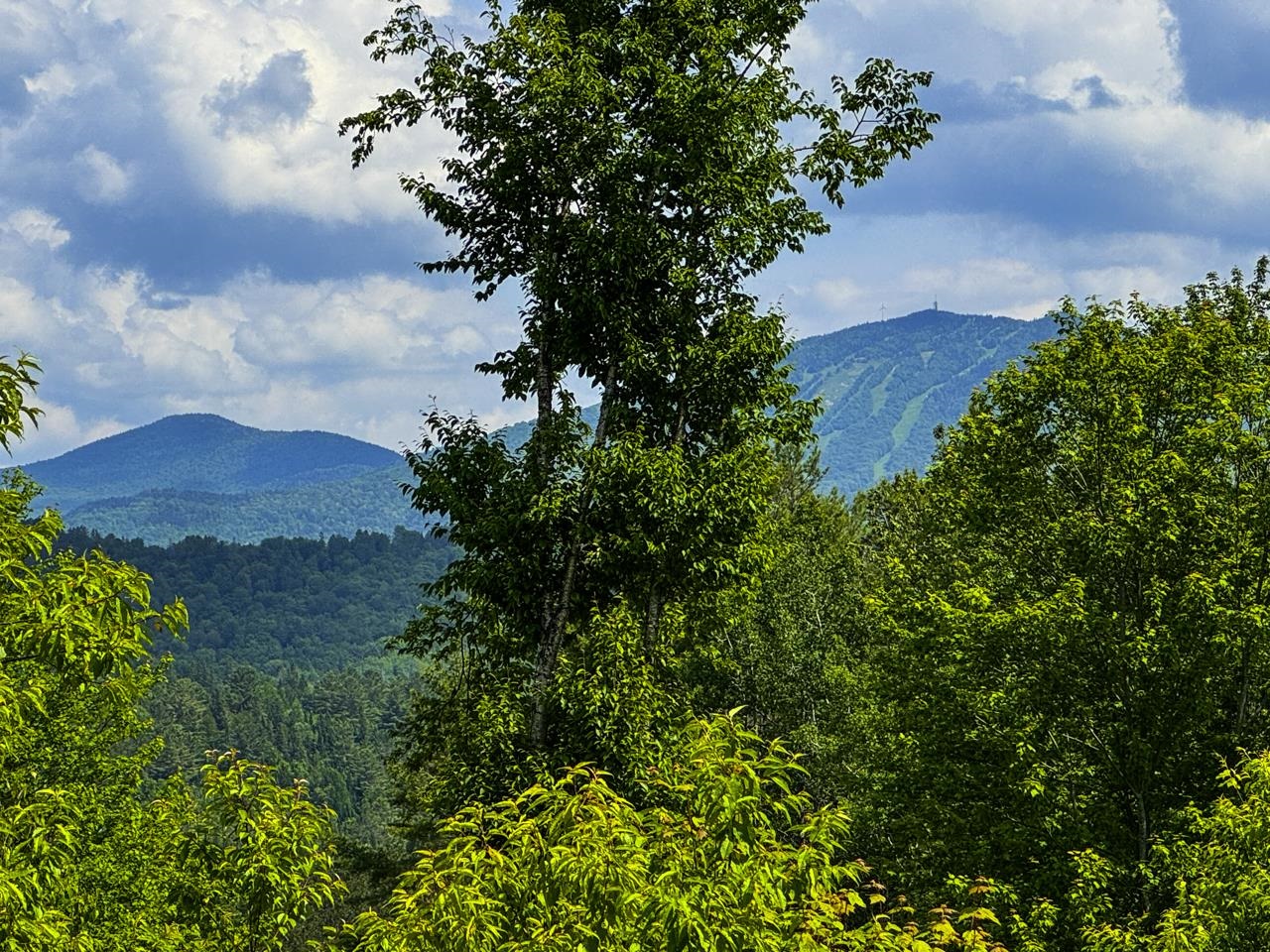 0 Lynburke Road, Unit LOT 1 & LOT 2 Lyndonville, VT 05851 - Photo 37 of 59