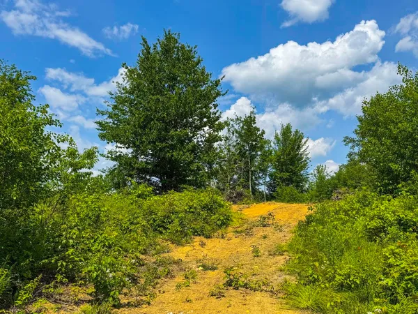 $210,000 | 0 Lynburke Road, Unit LOT 1 & LOT 2, Lyndonville, VT 05851