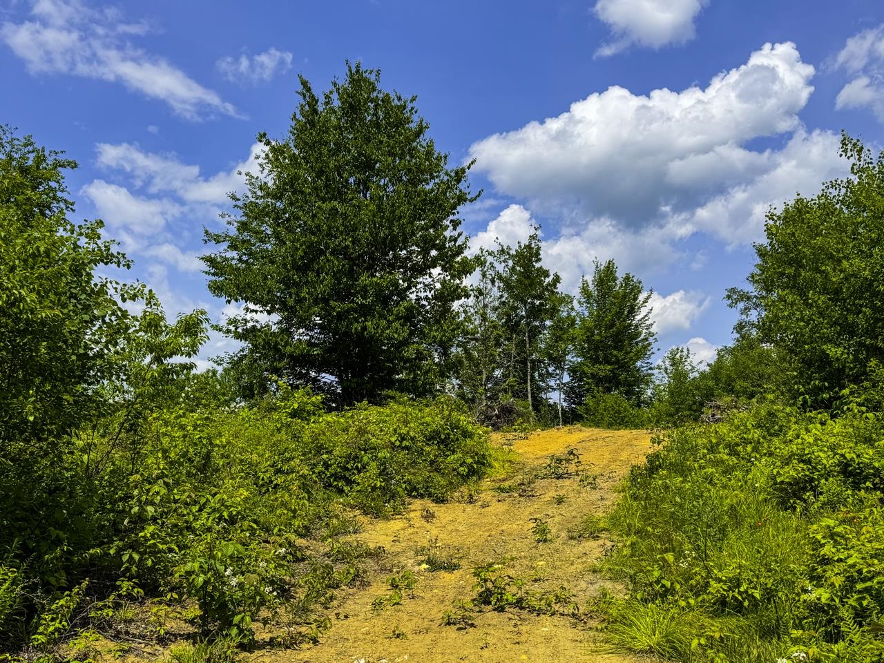 0 Lynburke Road, Unit LOT 1 & LOT 2 Lyndonville, VT 05851 - Photo 53 of 59