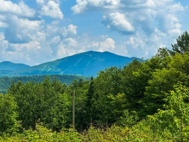 $210,000 | 0 Lynburke Road, Unit LOT 1 & LOT 2, Lyndonville, VT 05851