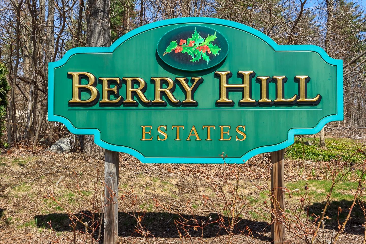 29 Shaker Hill Road Hooksett, NH 03106 - Photo 42 of 44