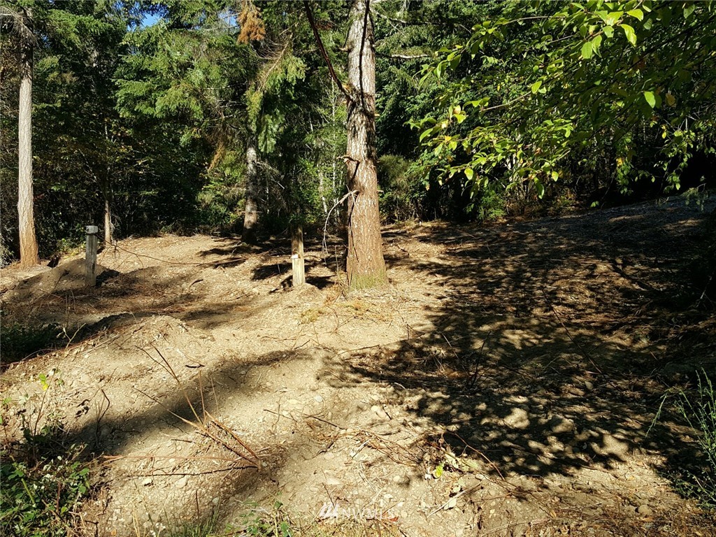 0 Trc North Shore Rd Tr Belfair, WA 98528 - Photo 2 of 10