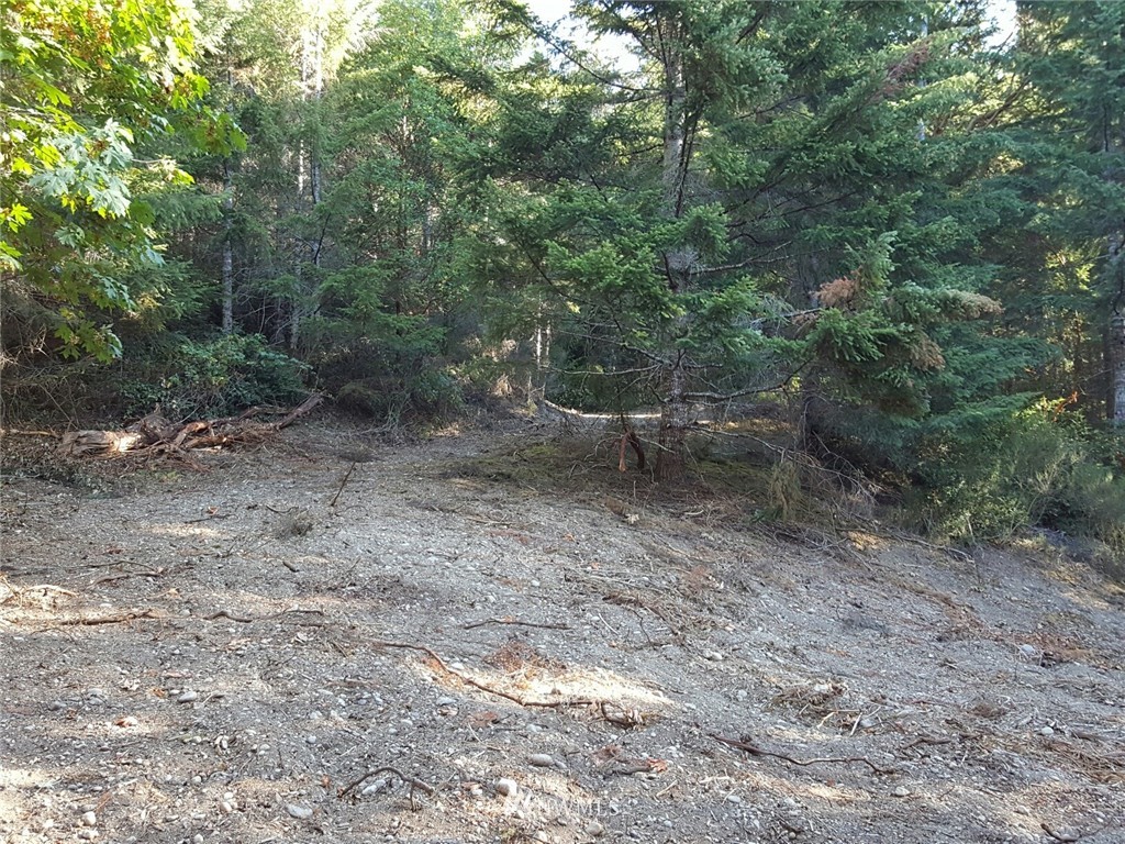 0 Trc North Shore Rd Tr Belfair, WA 98528 - Photo 3 of 10