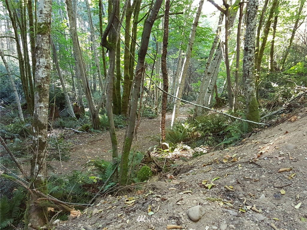 0 Trc North Shore Rd Tr Belfair, WA 98528 - Photo 5 of 10