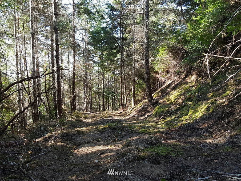 0 Trc North Shore Rd Tr Belfair, WA 98528 - Photo 6 of 10