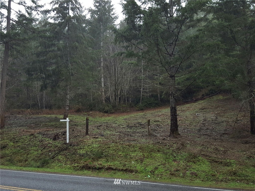 0 Trc North Shore Rd Tr Belfair, WA 98528 - Photo 10 of 10