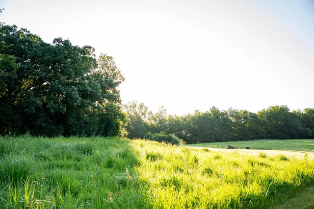 $2,500,000 | 32592 Juniper Road, Chatfield, MN 55923