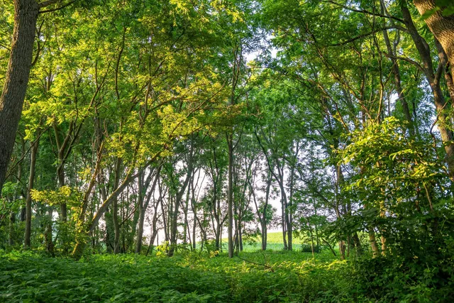 $2,500,000 | 32592 Juniper Road, Chatfield, MN 55923