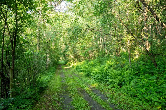 $2,500,000 | 32592 Juniper Road, Chatfield, MN 55923