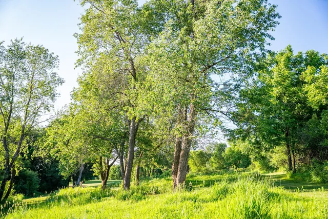 $2,500,000 | 32592 Juniper Road, Chatfield, MN 55923