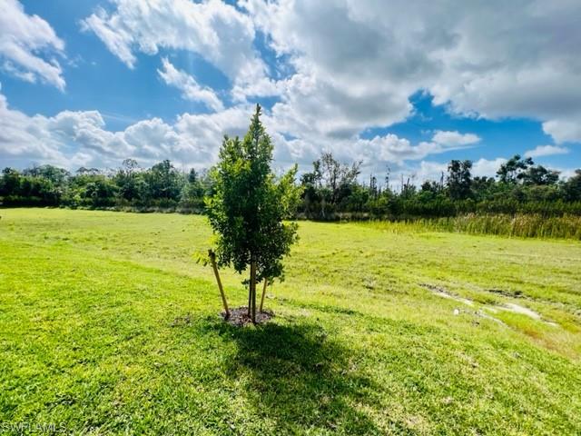 1066 Enbrook Loop Naples, FL 34114 - Photo 11 of 14 a view of yard with swimming pool and green space