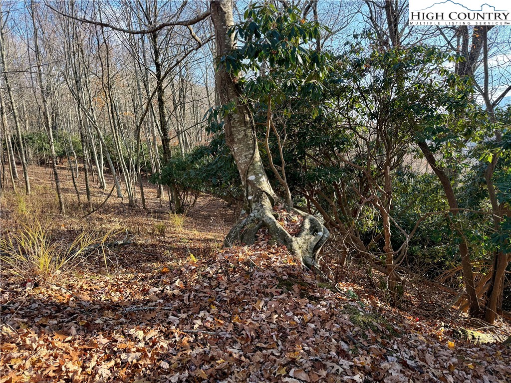 Pheasant Walk Way Vilas, NC 28692 - Photo 11 of 21