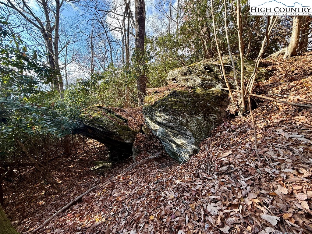 Pheasant Walk Way Vilas, NC 28692 - Photo 12 of 21