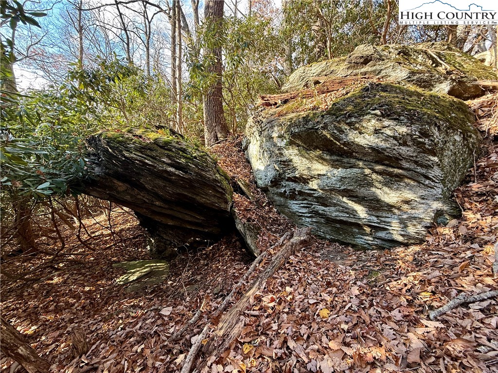 Pheasant Walk Way Vilas, NC 28692 - Photo 13 of 21