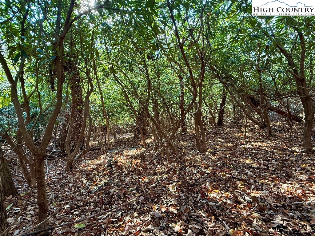 Pheasant Walk Way Vilas, NC 28692 - Photo 14 of 21