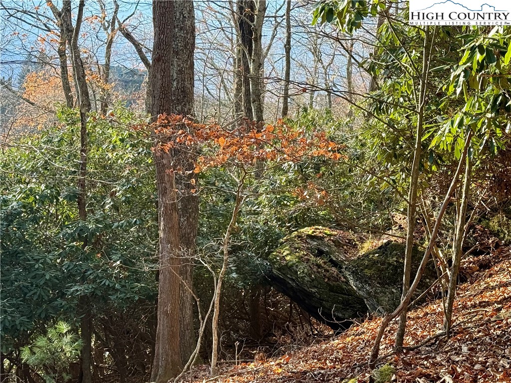 Pheasant Walk Way Vilas, NC 28692 - Photo 15 of 21