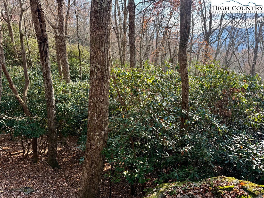 Pheasant Walk Way Vilas, NC 28692 - Photo 16 of 21