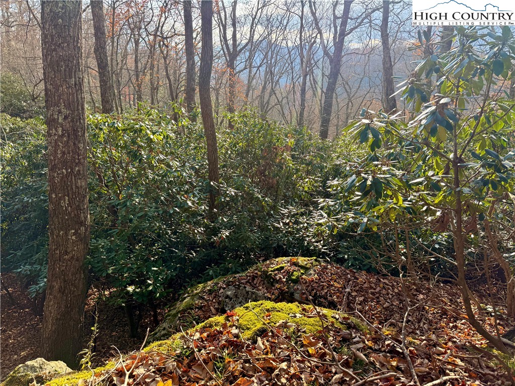 Pheasant Walk Way Vilas, NC 28692 - Photo 17 of 21