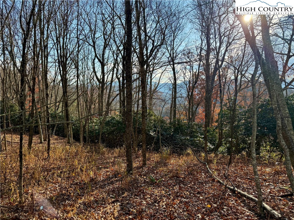 Pheasant Walk Way Vilas, NC 28692 - Photo 18 of 21